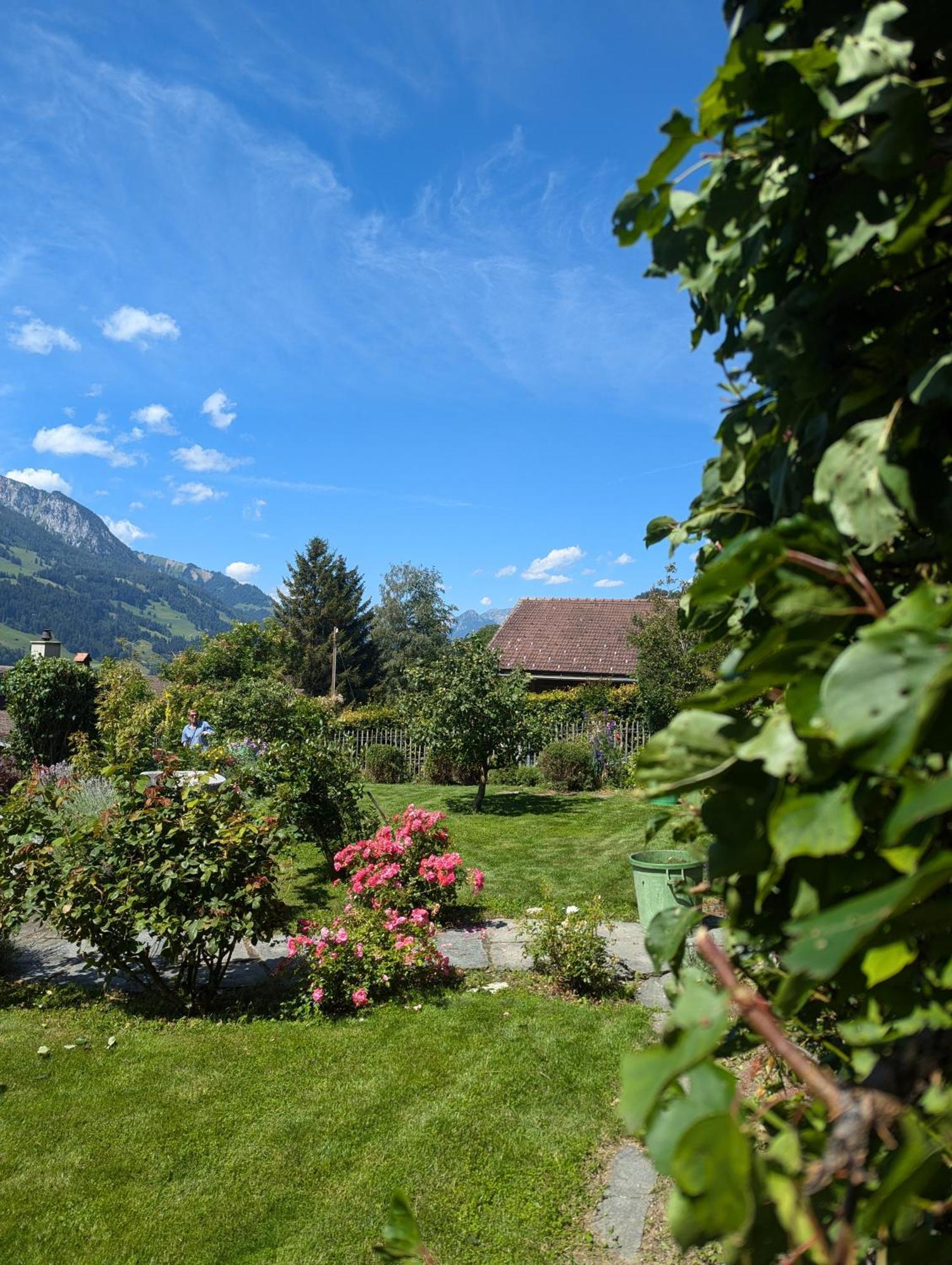 Swiss Mountain-Valley View Lodge Erlenbach im Simmental Exterior photo