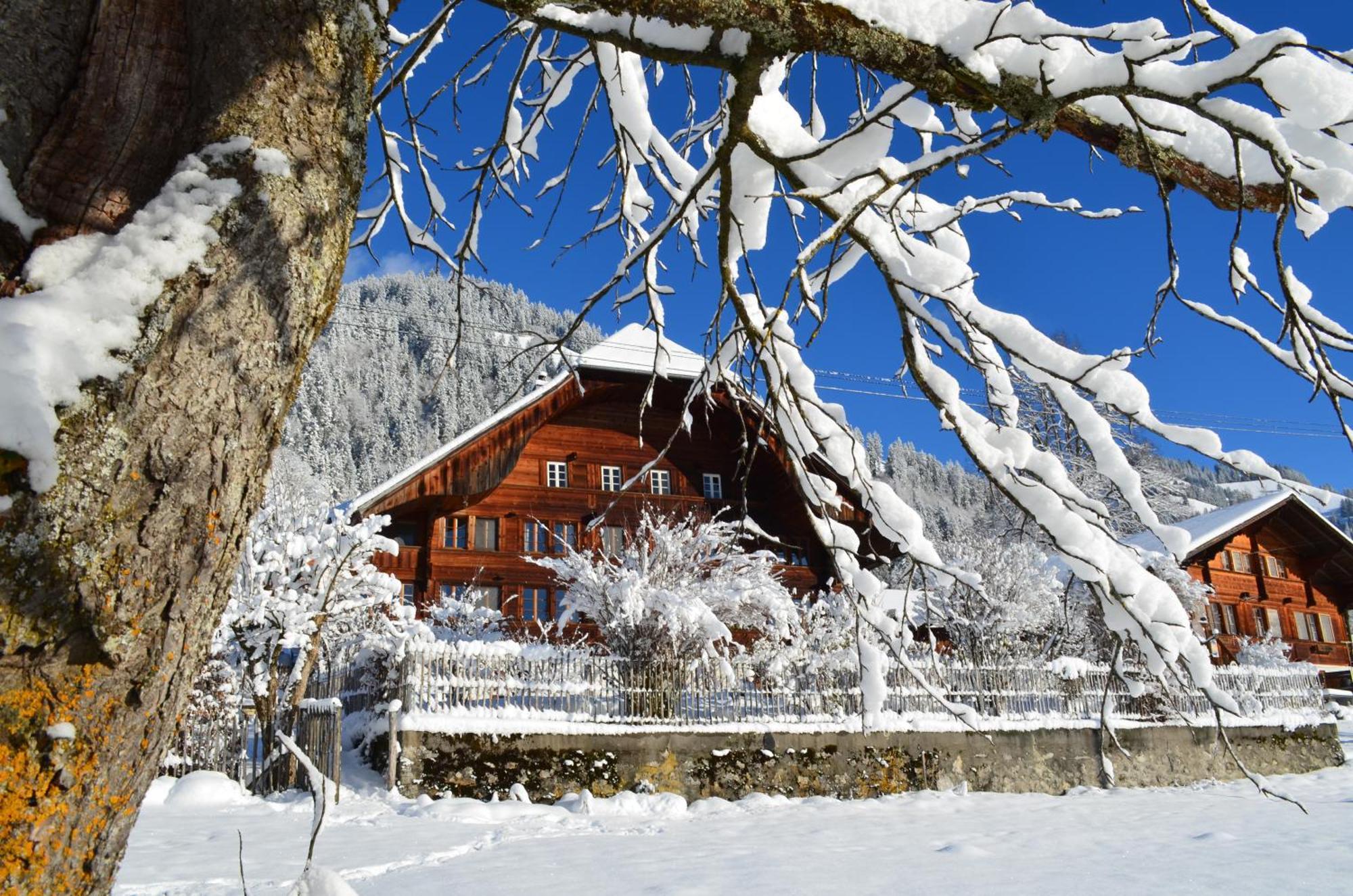 Swiss Mountain-Valley View Lodge Erlenbach im Simmental Exterior photo